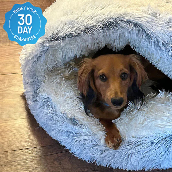 LUCIDIA™ - THE PREMIUM PET BED