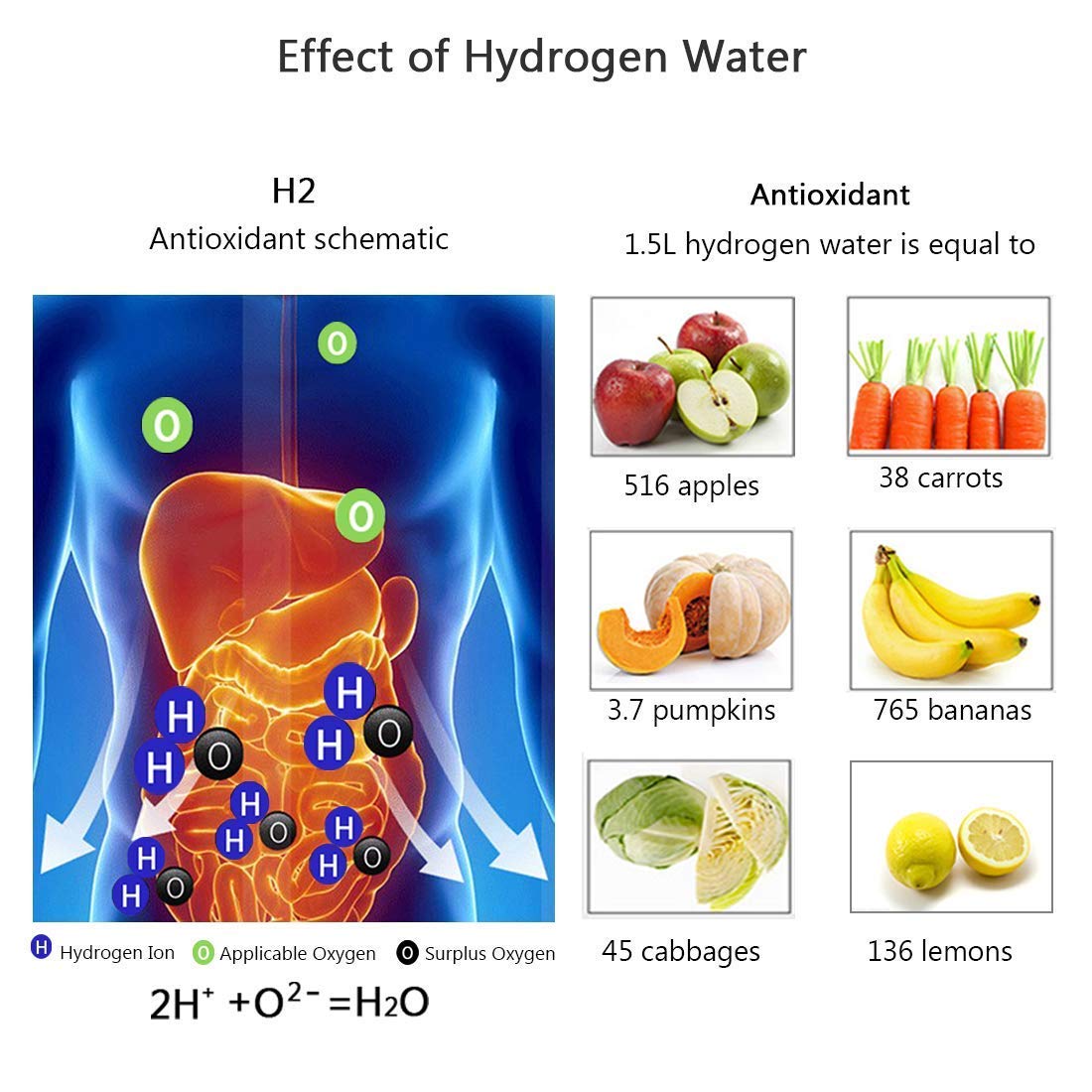 LUCIDIA™ - HYDROGEN WATER BOTTLE